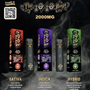 The 10/10 Boys Disposable Vape – 2 Gram